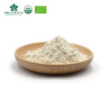 Non-GMO  Natural Sweetener Mogroside V 20%~60% Organic Luo Han Guo Monk Fruit Extract Powder